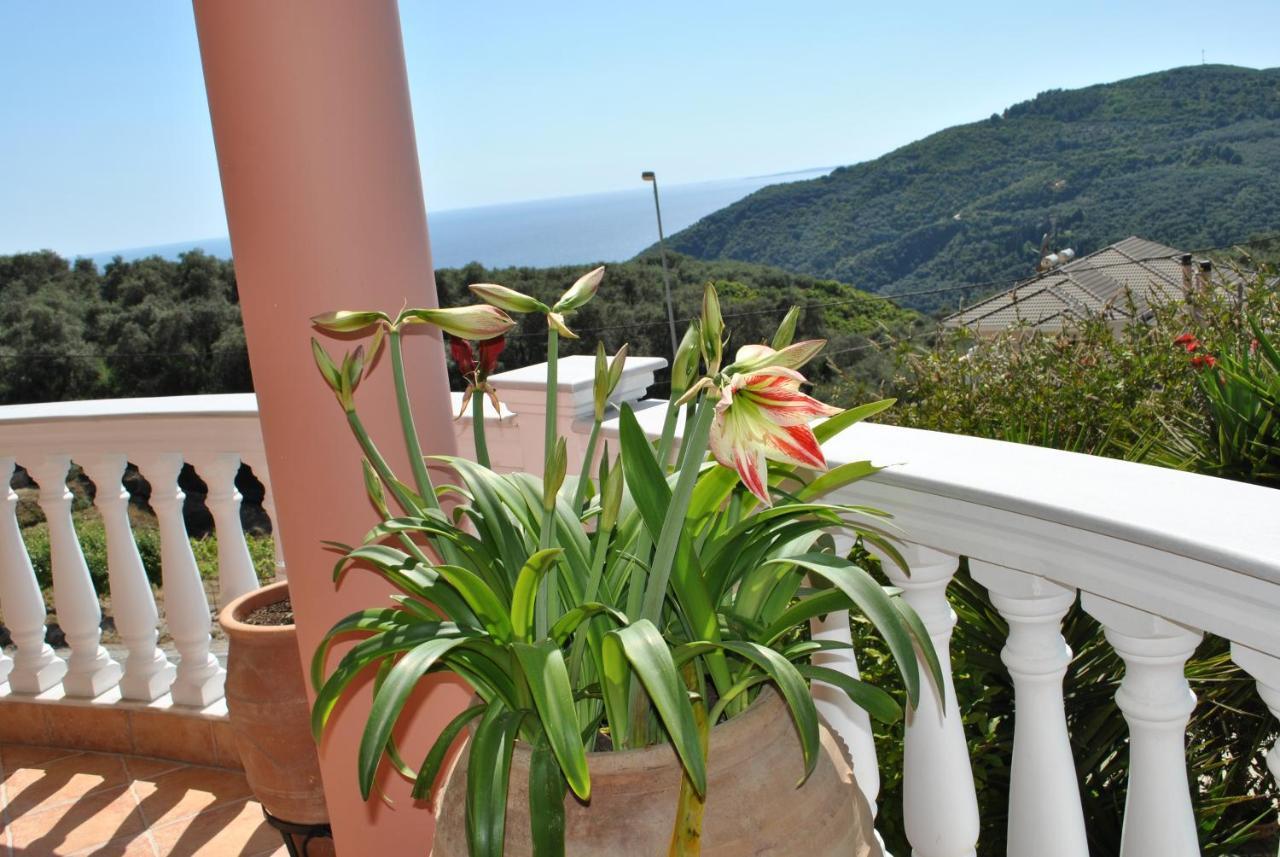 Amaryllis House Apartment Parga Exterior photo