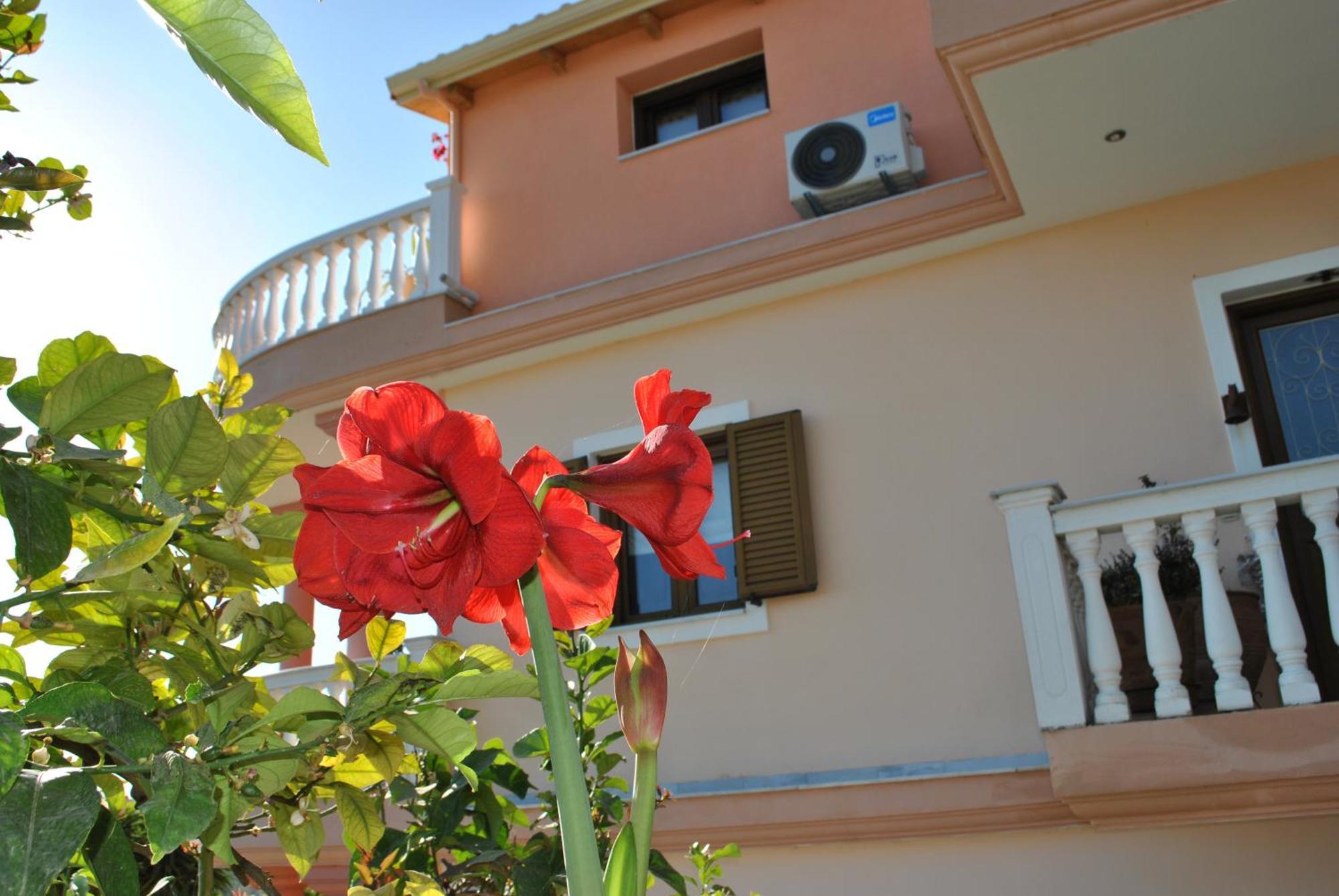 Amaryllis House Apartment Parga Exterior photo