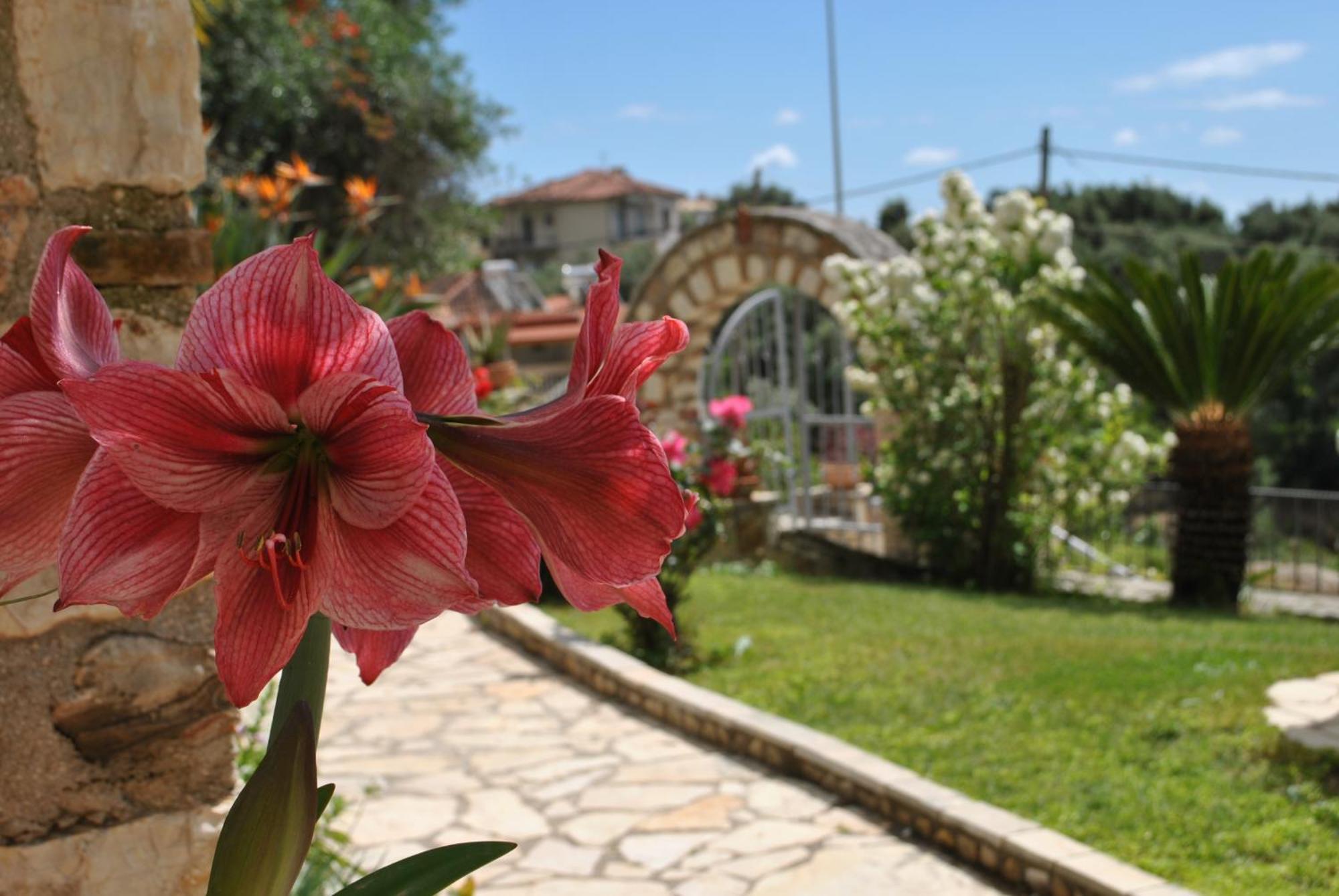 Amaryllis House Apartment Parga Exterior photo